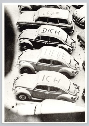 Classic volkswagen beetles - volkswagen,